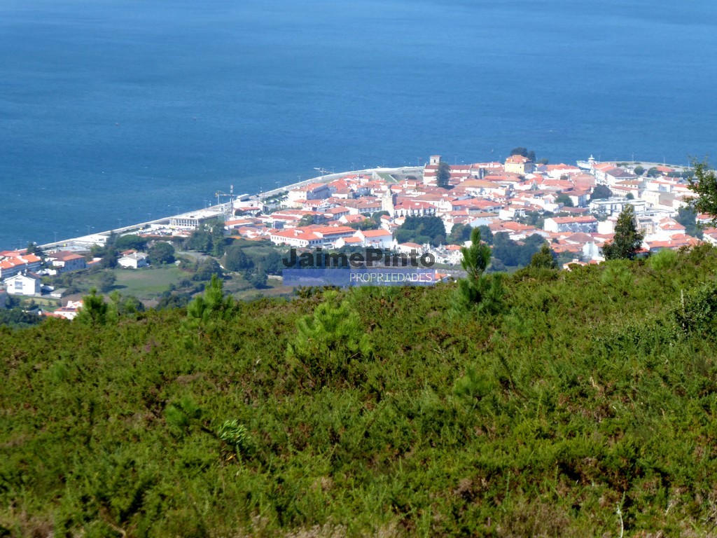 T2+1 - CAMINHA