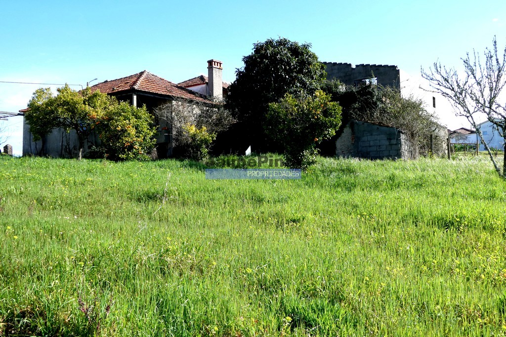 ST - PENACOVA