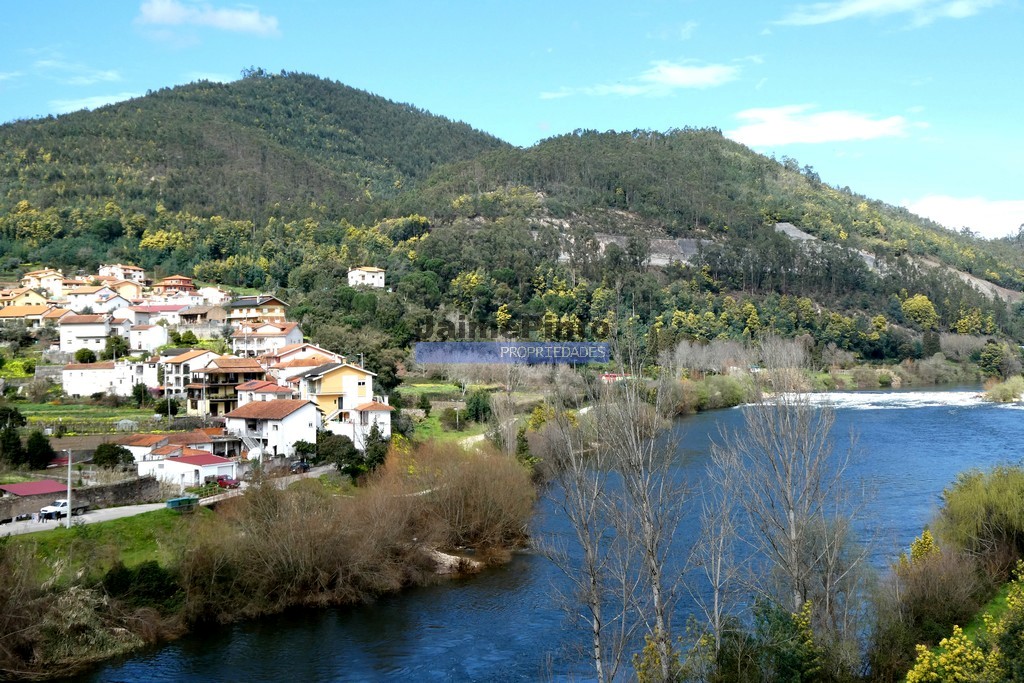 Quinta