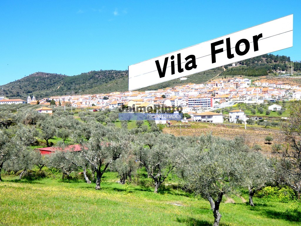 ST - VILA FLOR