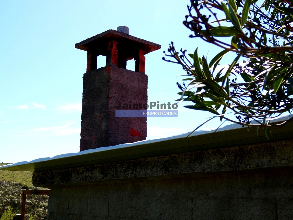 Quinta