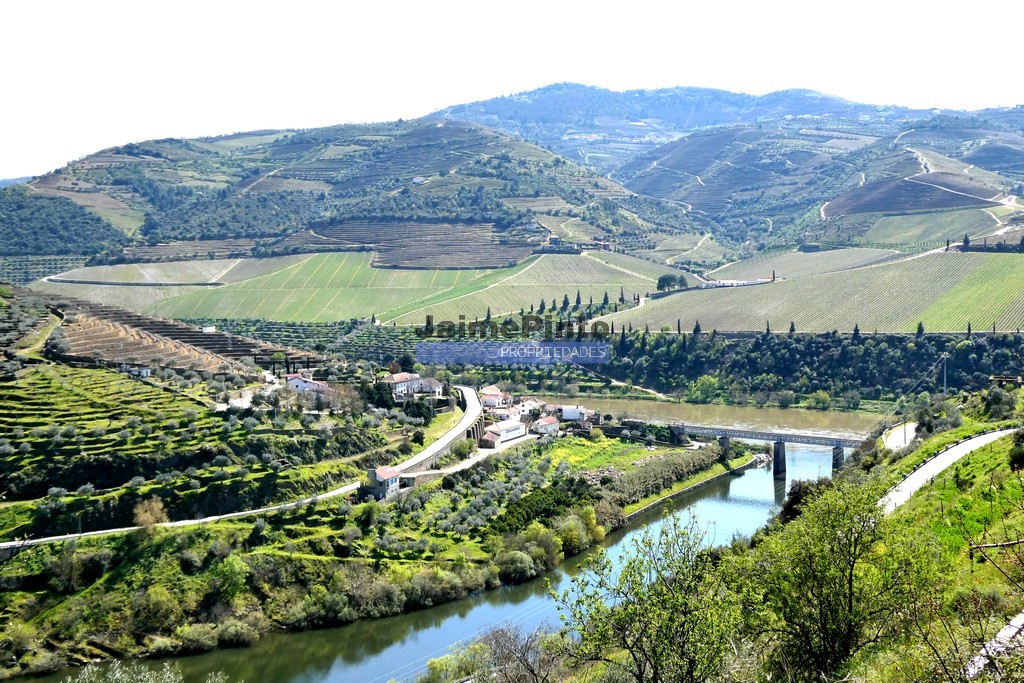 Quinta