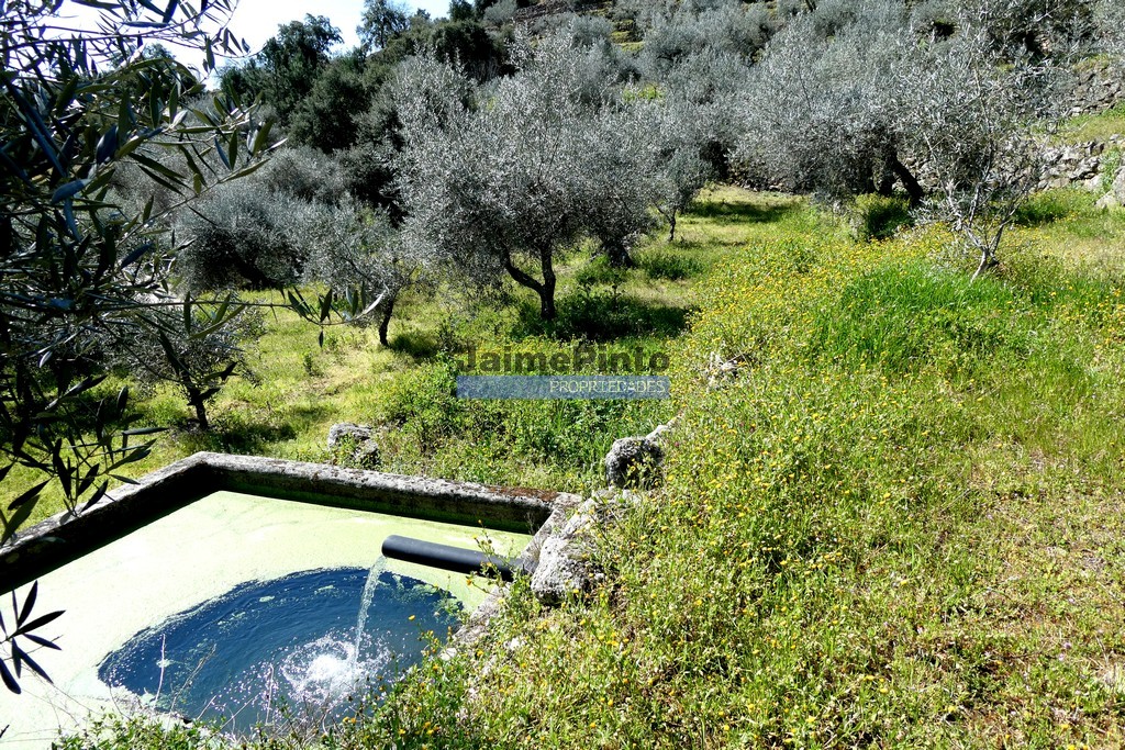 Terreno agricola