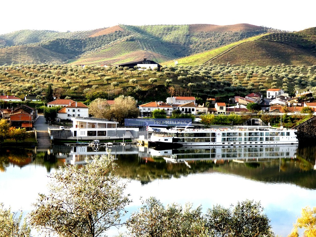 Terreno agricola