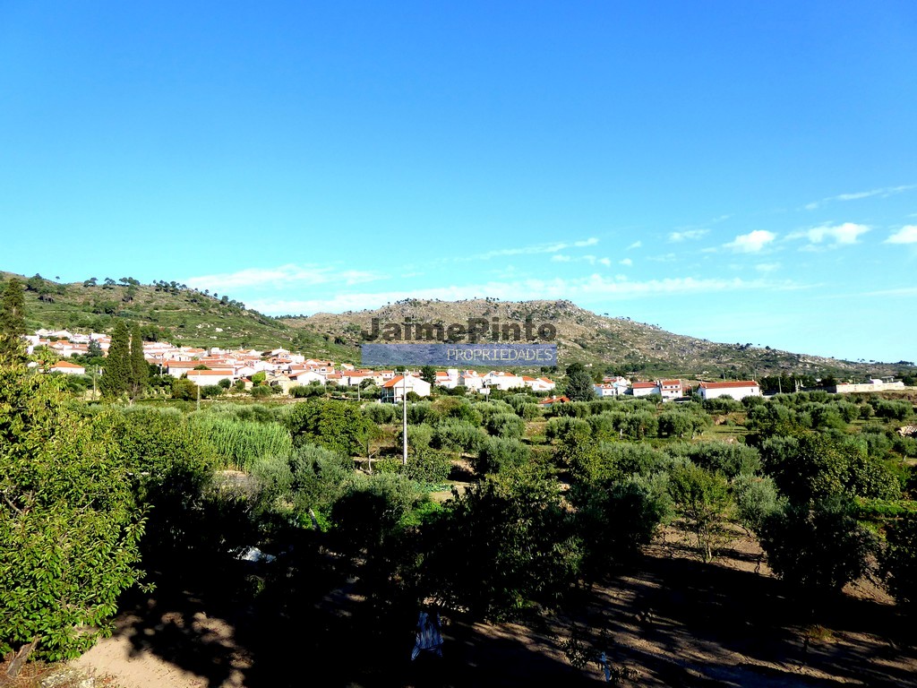 Quinta