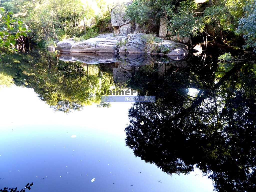 Quinta