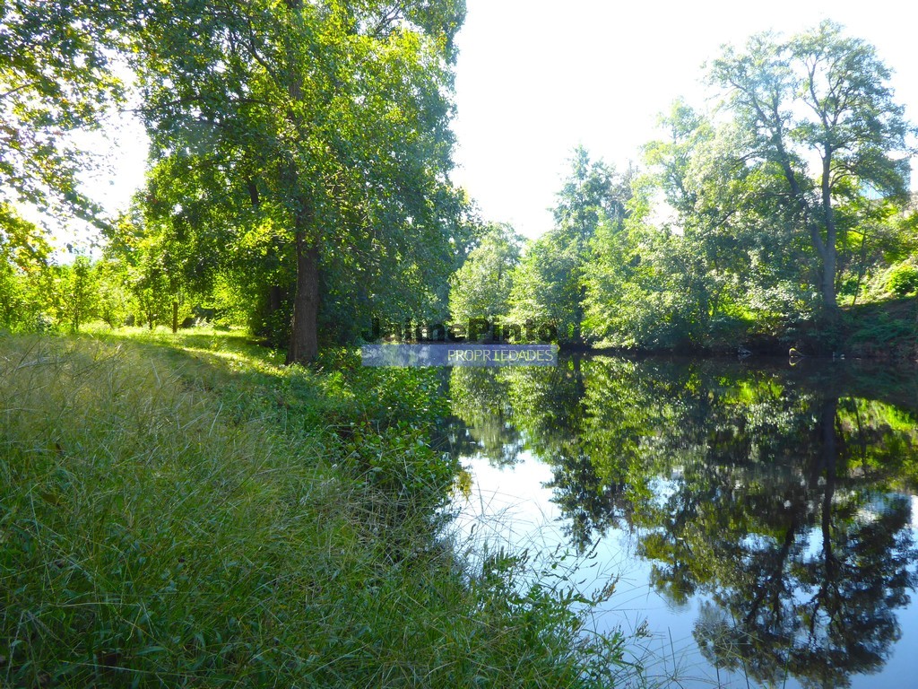 Quinta