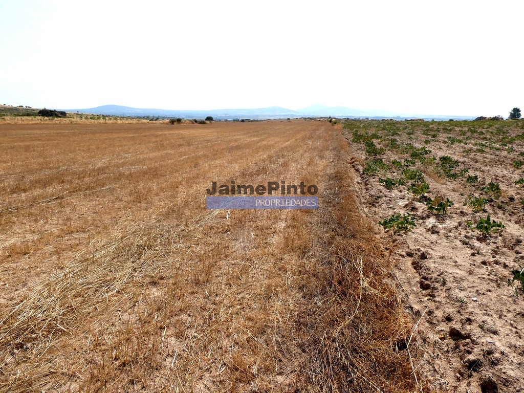 Terreno agricola