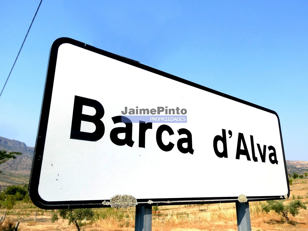 Terreno agricola