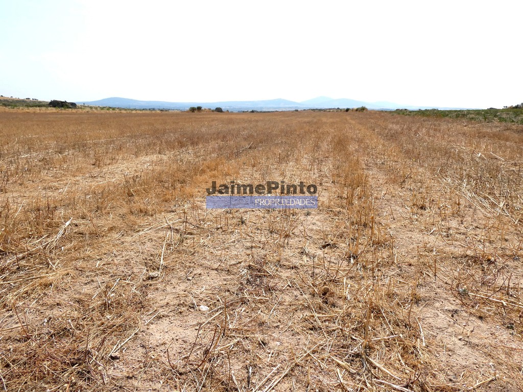 Terreno agricola