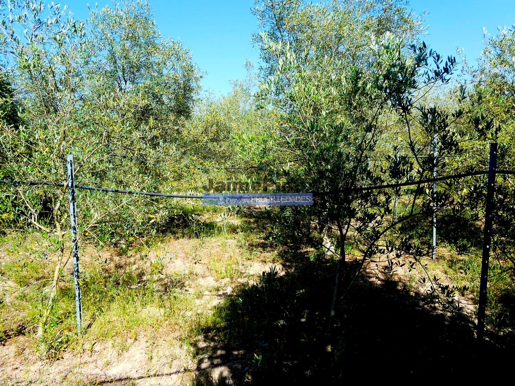 Moradia isolada