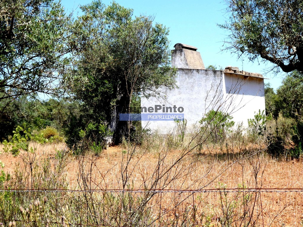 Quinta - ST - PORTEL