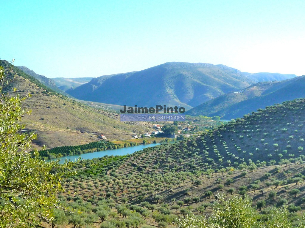 Terreno agricola